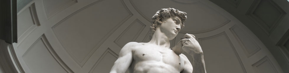 Michelangelo\'s David